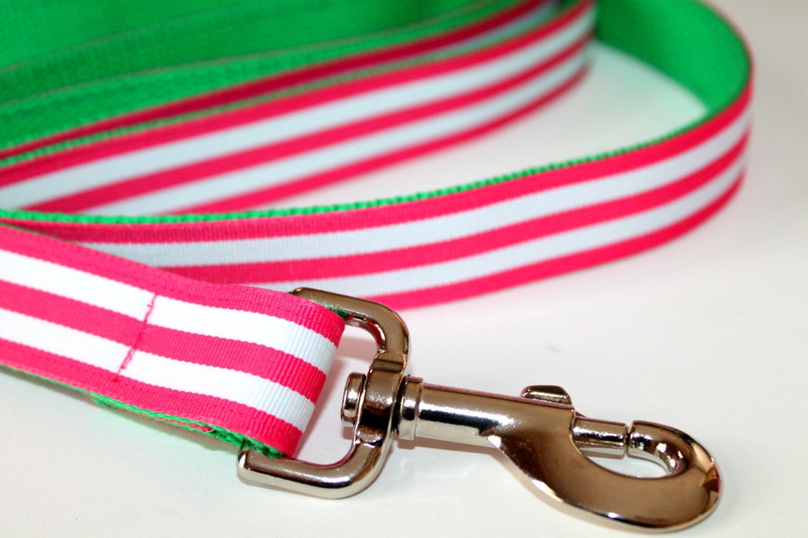 Preppy Dog Collar Matching Leash Green and Pink Leash and Etsy
