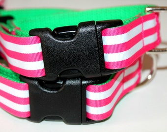 Preppy Dog Collar Matching Leash Green and Pink Leash and Collar Hot Pink Stripe Dog Collar Girls Dog Collar Spring Dog Collar