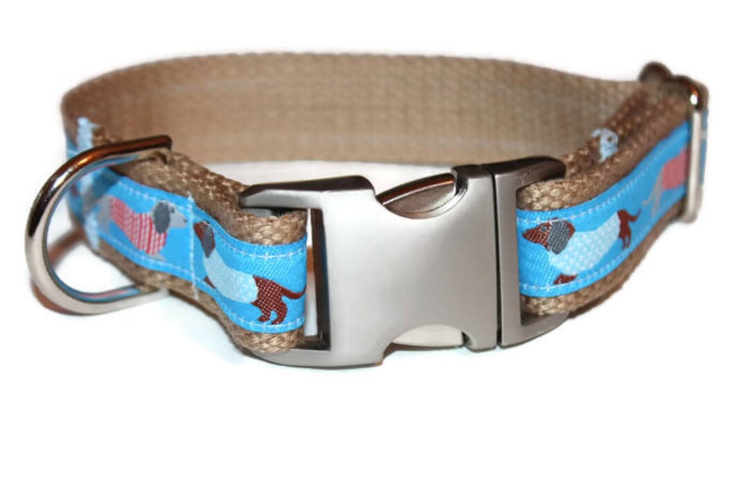 Weiner Dog Collar Matching Leash Dachshund Leash and Collar Etsy