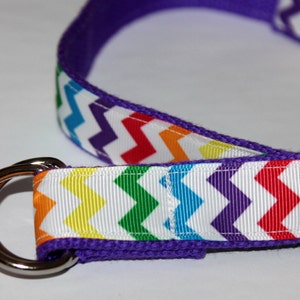 Girls D Ring Belt  Rainbow Chevron Purple Webbing Belt