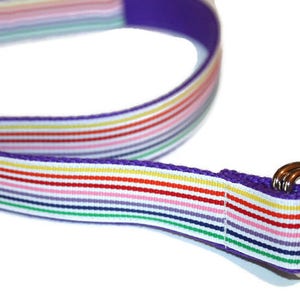 Girls Rainbow Belt Rainbow Ribbon Belt Girls Rainbow D ring BElt Toddler Rainbow Belt Girls Rainbow D Ring Belt CInch Belt