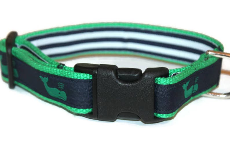 Weiner Dog Collar Matching Leash Dachshund Leash and Collar Etsy