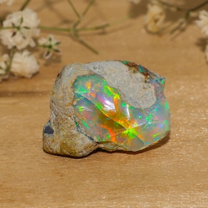 AAA Ethiopian Opal Raw Welo Fire Opal Rough Crystal 14,05 crt