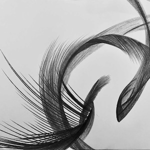 May include: Abstract black and white artwork featuring dynamic, flowing lines and feathery textures. The composition includes curved, ribbon-like shapes and linear elements, creating a sense of movement and depth. The artwork is set against a plain white background.