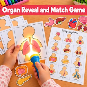 Op de afbeelding: Een educatieve Organ Reveal and Match Game set met witte kaarten met menselijke lichaamsomtrekken, kleurrijke orgaanuitsparingen en een blauwe zaklamp. Een Body Explorer referentieblad toont gelabelde illustraties van de hersenen, longen, hart, maag, lever, nieren, darmen, alvleesklier, milt, blaas, slokdarm en luchtpijp.
