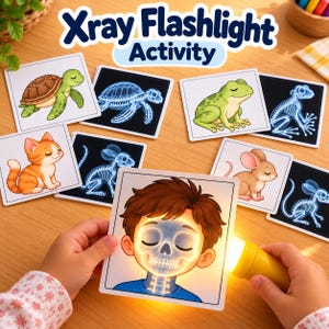 Röntgenbild-Aktivität | Spiel zur Körperstruktur | Lernspiel für Kleinkinder | Druckbare MINT-Aktivität für Vorschule und Kindergarten (PDF)