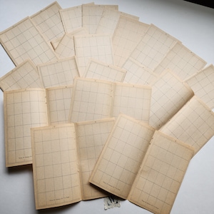 May include: A collection of vintage stamp stock books with grid-lined pages. The pages are a warm beige color, and the grid lines are a dark brown. The text "Place 30 Stamps On This Page" is visible on the bottom of some pages. The books are open and fanned out.