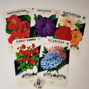 May include: Vintage seed packets for Nasturtium, Petunia, Scarlet Runner, Scabiosa, and Nasturtium Double Hybrid Mixed. The packets feature colorful illustrations of the flowers and include the Lone Star Seed Co. logo.