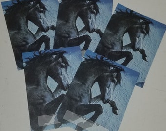 5 Black Stallion book plates blue horse labels Antioch Bookplate Co vintage paper art supplies ephemera lot unused