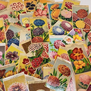 Random pick! 5 French flower seed packet labels antique reproduction fall summer spring variety  vintage paper art supplies ephemera lot