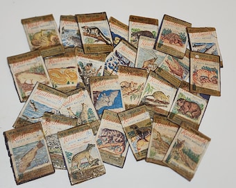30 match box tops sea life ocean creatures and animals Redheads Australian matchbox covers old worn vintage paper art supplies ephemera lot