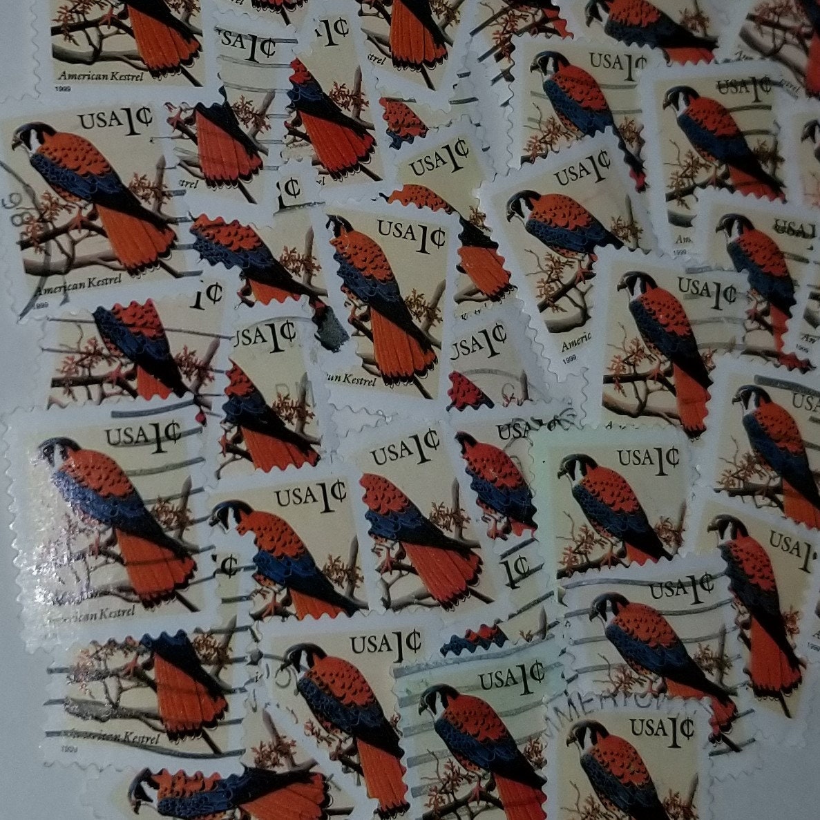 50 bird postage stamps red blue American Kestrel 1 cent USA Etsy