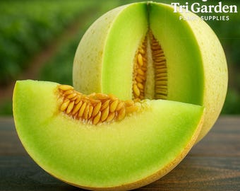 May include: A sliced cantaloupe melon with a vibrant green interior and a section of seeds. The melon is cut to reveal the inside, with a slice in front. The background is a blurred green field. The logo for Tri Garden Plant Supplies is in the top right.
