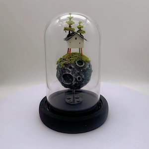 May include: A miniature diorama featuring a small house and trees on a mossy, cratered sphere, enclosed in a glass dome. The base is black, and the background is white. The house has a white exterior and a dark roof.