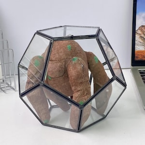 May include: A geometric glass terrarium with a black metal frame containing a brown, textured, multi-limbed plush figure. The plush figure features a rounded body and several arms, accented with small, circular green spots across its surface.
