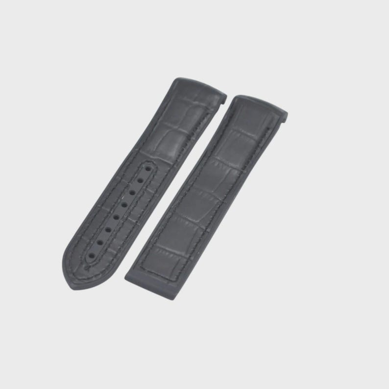 22mm Leather Plated Rubber Strap for Seamaster Planet Ocean 600M image 1