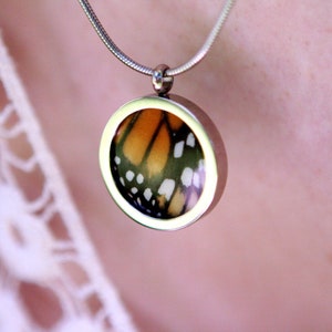 Real Butterfly Wing Necklace | Monarch Butterfly Wings Pendant Necklace | Monarch Butterflies Forewing Jewelry | Handmade Butterfly Jewelry
