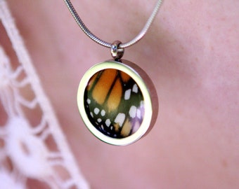 Real Monarch Butterfly Wing Necklace: Stainless Steel Pendant