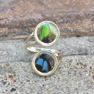 Real Butterfly Wing Ring | Silver Double Pendant Butterfly Ring | Graphium Weiskei Hindwing Ring | Butterfly Jewelry | Butterfly Wings