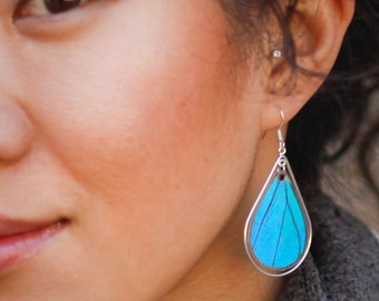 Real Blue Morpho Butterfly Wings Earrings | Teardrop Sterling Silver Butterfly Earrings | Blue Butterfly Wing Jewelry | Something Blue