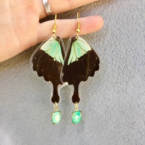 Real Butterfly Wing Earrings: Papilio Phorcas, Surgical Steel