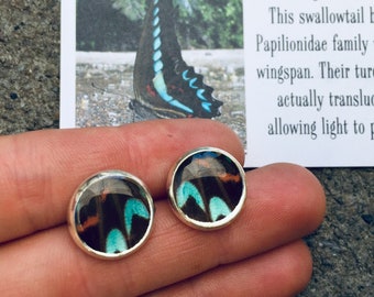 Real Butterfly Wing Post Earrings | Graphium Milon Resin Butterfly Earrings | Recycled Butterfly Wings Earrings | Real Butterfly Studs