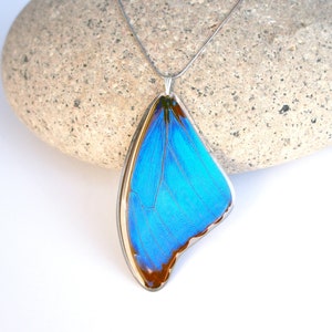 Recycled Butterfly Wing Necklace | Blue Morpho Butterfly Necklace | Real Butterfly Wing Jewelry | Butterflies | Blue Butterfly Necklace