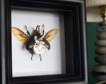 Steampunk Real Beetle Taxidermy with Metal Gears Wall Art | Framed Rhino Beetle | Insect Taxidermy | Beetle Steampunk Decor | Gift For Him