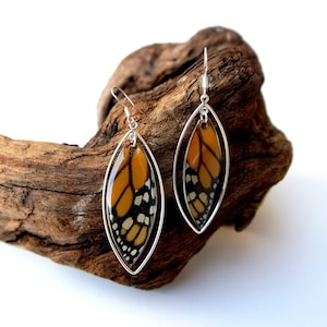 Real Butterfly Wing Earrings | Silver Teardrop Monarch Butterfly Earrings | Sterling Silver Earrings | Monarch Forewing | Butterfly Jewelry