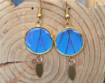 Real Blue Butterfly Wings Earrings | Blue Morpho Butterfly Earrings | Gold-plated Pendant Earrings | Butterfly Gift | Unique Christmas Gift