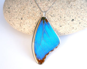 Recycled Butterfly Wing Necklace Blue Morpho Butterfly Necklace