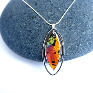 Real Butterfly Wing Necklace | Rainbow Sunset Moth Wing Necklace in Sterling Silver | Rainbow Butterfly Necklace | Butterfly Wing Jewelry