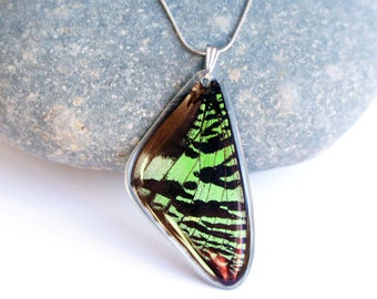 Clear Quartz Crystal Necklace Real Butterfly Necklace Cecropia Moth Wing Necklace Moth Wing Crystal Necklace 14k Gold Chain Necklace