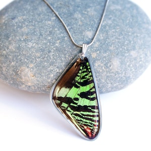 Echte Schmetterlingsflügel Halskette | Mottenflügel Halskette | Schmetterlingsflügel Halskette | Schmetterling Flügel Schmuck | Schmetterling Geschenk