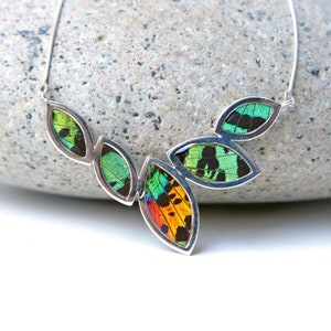 Real Sunset Moth Wing Necklace: Sterling Silver Marquis Butterfly Jewelry