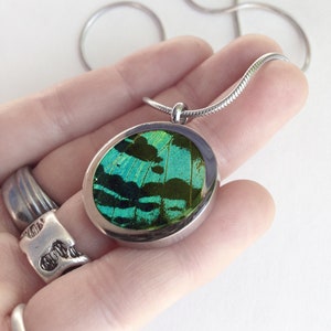 Real Butterfly Wing Necklace Green Sunset Moth Wing Pendant Necklace Stainless Steel Butterfly Wing Pendant Resin Sunset Moth Jewelry image 1