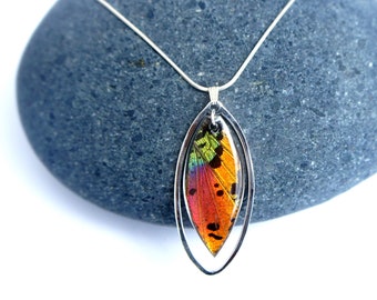 Real Butterfly Wing Necklace | Rainbow Sunset Moth Wing Necklace in Sterling Silver | Rainbow Butterfly Necklace | Butterfly Wing Jewelry