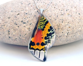 Recycled Butterfly Wing Necklace - Rainbow Sunset Moth - Butterfly Gift, Nature Theme Jewelry