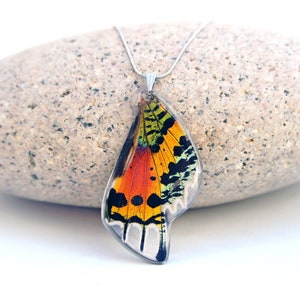 Butterfly jewelry near me Clearance