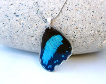 Real Butterfly Wing Necklace | Blue and Black Butterfly Wings Necklace | Papilio Bromius | Butterfly Jewelry | Real Blue Butterfly Gift