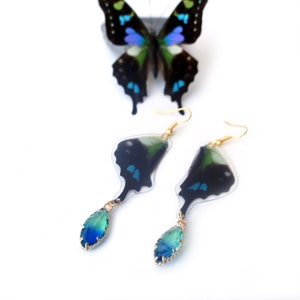 Real Butterfly Earrings with Colorful Glass Bead | Real Butterfly Wing Earrings | Graphium Weiskei Hindwing Butterfly Earrings | Butterflies