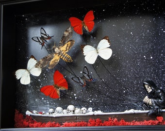 Real Death Head Moth Grim Reaper Framed Art - 11 x 14 - Butterfly Decor, Framed Butterfly, Steampunk Decor