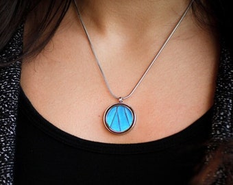 Collier aile de papillon Morpho bleu : pendentif en acier inoxydable
