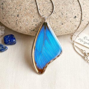 May include: A necklace featuring a vibrant blue butterfly wing pendant encased in a metallic frame, suspended from a thin silver-toned chain. A small white tag attached to the chain displays the handwritten text Real Blue Morpho Wing.
