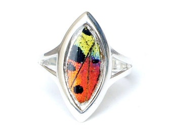 Real Sunset Moth Wing Ring: Sterling Silver Marquis Ring