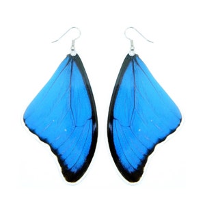 Real Blue Morpho Butterfly Wing Earrings Real Butterfly Earrings Butterfly Wing Jewelry Blue Butterfly Wings Earrings Butterflies image 1