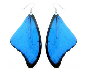 Real Blue Morpho Butterfly Wing Earrings | Real Butterfly Earrings | Butterfly Wing Jewelry | Blue Butterfly Wings Earrings | Butterflies