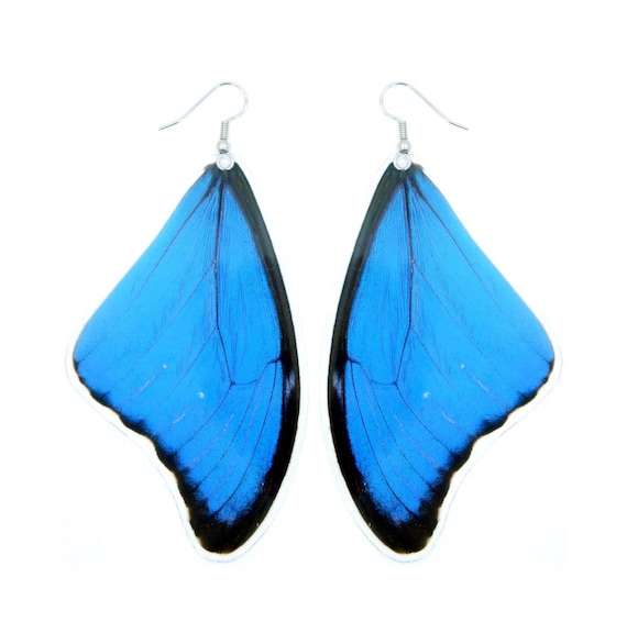 Real Monarch Butterfly Earrings - Monarch Forewing - Butterfly Wings, –  Asana Natural Arts