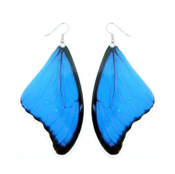 Blue Large Butterfly Earrings Blue Large Butterfly Earrings