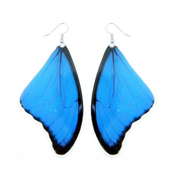 Boucles d'oreilles papillon Morpho bleu véritable | Boucles d'oreilles papillon véritable | Bijoux ailes de papillon | Boucles d'oreilles ailes de papillon bleues | Papillons
